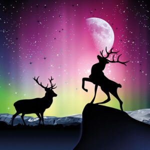 Northern Lights Stag