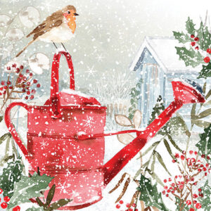 Watering Can Robin